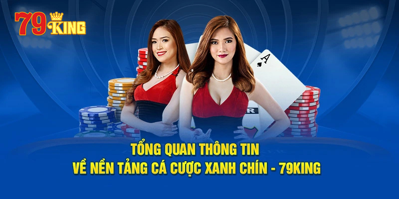 79king - Hệ Thống Xây Dựng Thương Hiệu và Quảng Bá Trực Tuyến Hiệu Quả