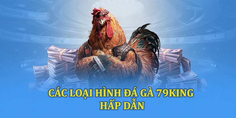 Các loại hình đá gà 79king hấp dẫn